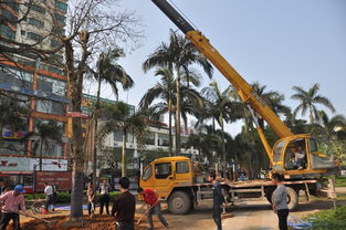 園林行業工程機械租賃的那些坑
